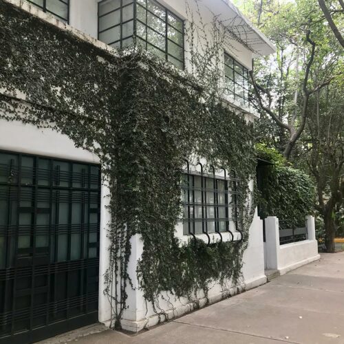 Building with ivy in Mexico City
