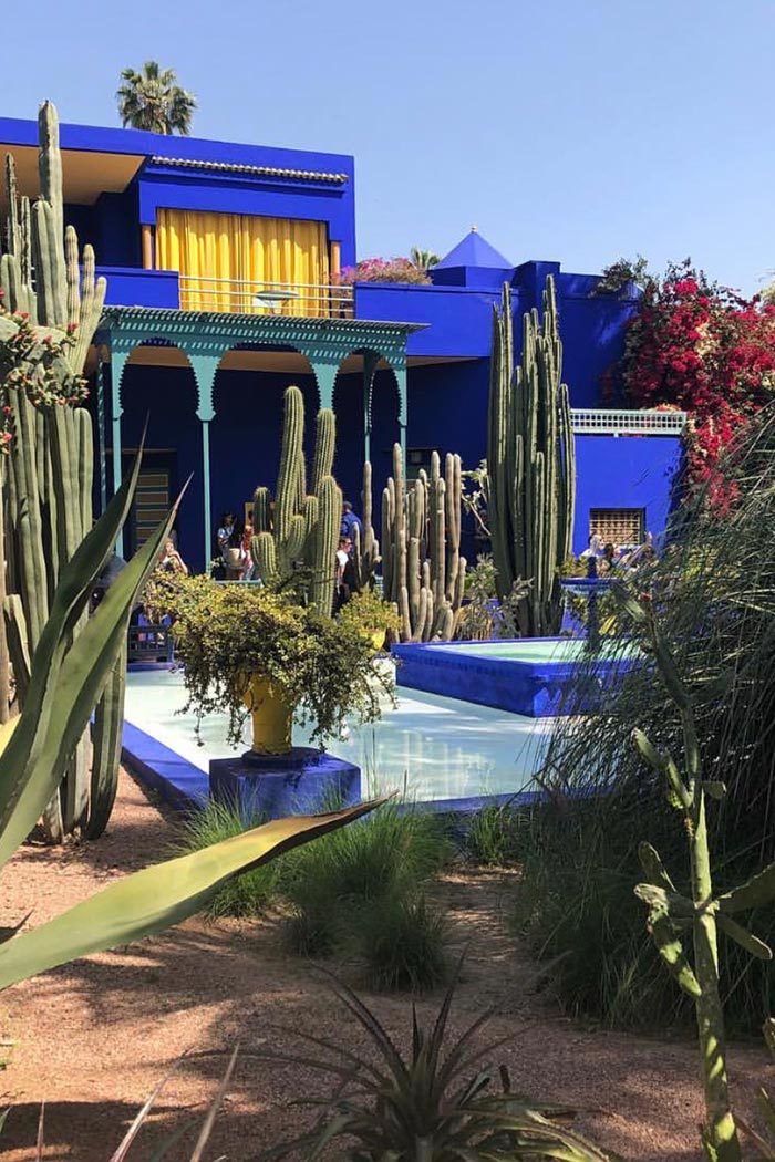Cactus Garden in Morocco